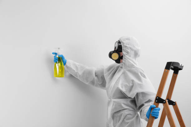 Best Mold Remediation for Healthcare Facilities  in Chillicothe, MO