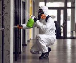 Best Commercial Mold Inspection  in Chillicothe, MO